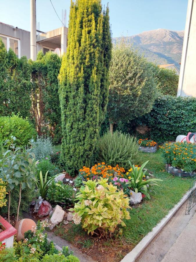 Green Oasis Kotor Exteriör bild